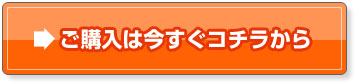 ご購入は今すぐコチラから